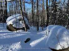 0 SOUTH HORN LAKE ROAD | Burk's Falls Ontario | Slide Image Four