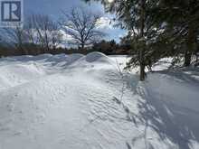 1006 TORRANCE ROAD | Muskoka Lakes Ontario | Slide Image Two