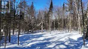 1066 UFFINGTON ROAD | Bracebridge Ontario | Slide Image Seven