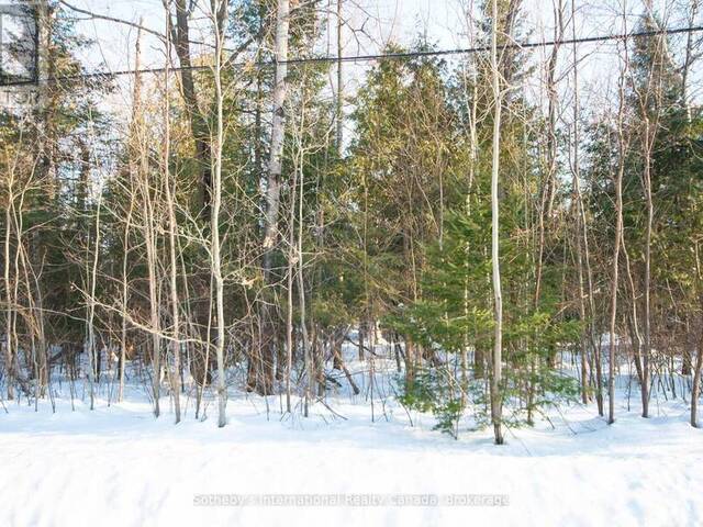 LOT 4 SPRUCE STREET Elmvale Ontario, L0L 1P0 - Vacant Land For Sale