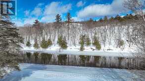 3012 MOYNES ROAD | Washago Ontario | Slide Image Eight