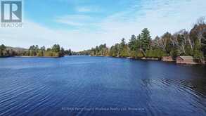 0 CHIKOPI ROAD | Magnetawan Ontario | Slide Image Two