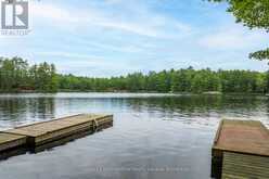 16LK-1 WOLF ISLAND | Gravenhurst Ontario | Slide Image Thirty-three