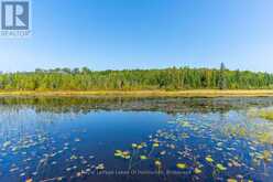 2825 IB&O RAIL TRAIL | Highlands East Ontario | Slide Image Forty-two