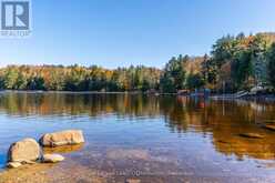 1017 PALACE DRIVE | Haliburton Ontario | Slide Image Forty-one