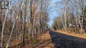 LOT 2 TALLY-HO WINTER PARK ROAD | Huntsville Ontario | Slide Image Two