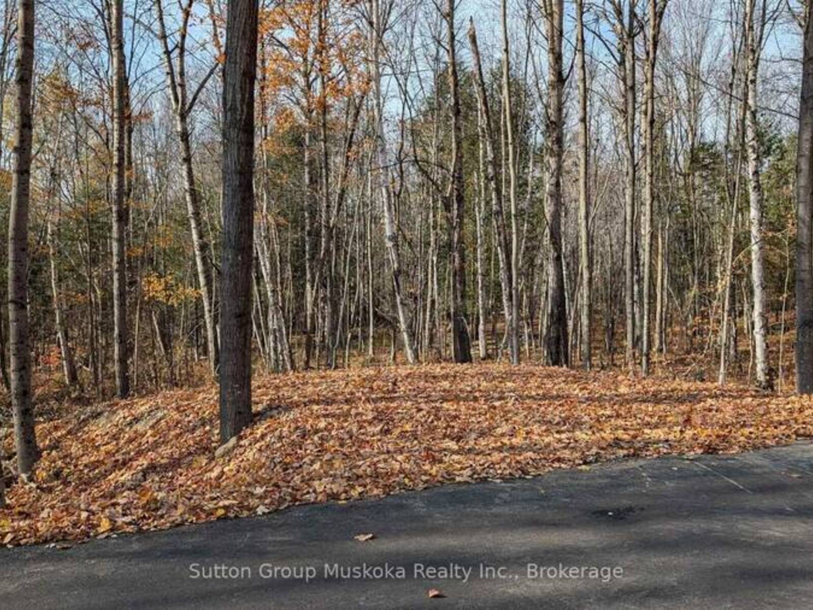 LOT 2 TALLY-HO WINTER PARK ROAD, Huntsville, Ontario P1H 2J6