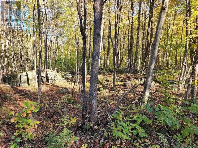 A TALLY HO WINTER PARK ROAD Huntsville Ontario, P1H 2J6 - Vacant Land For Sale