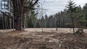 LOT 3 RED PINE TRAIL | Bracebridge Ontario | Slide Image Two