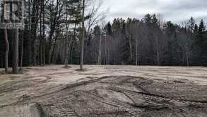 LOT 3 RED PINE TRAIL | Bracebridge Ontario | Slide Image Four