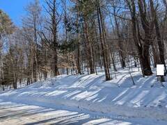 0 ROSSEAU LAKE RD 1 Utterson Ontario, P0B 1M0