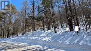 0 ROSSEAU LAKE RD 1 | Utterson Ontario | Slide Image One