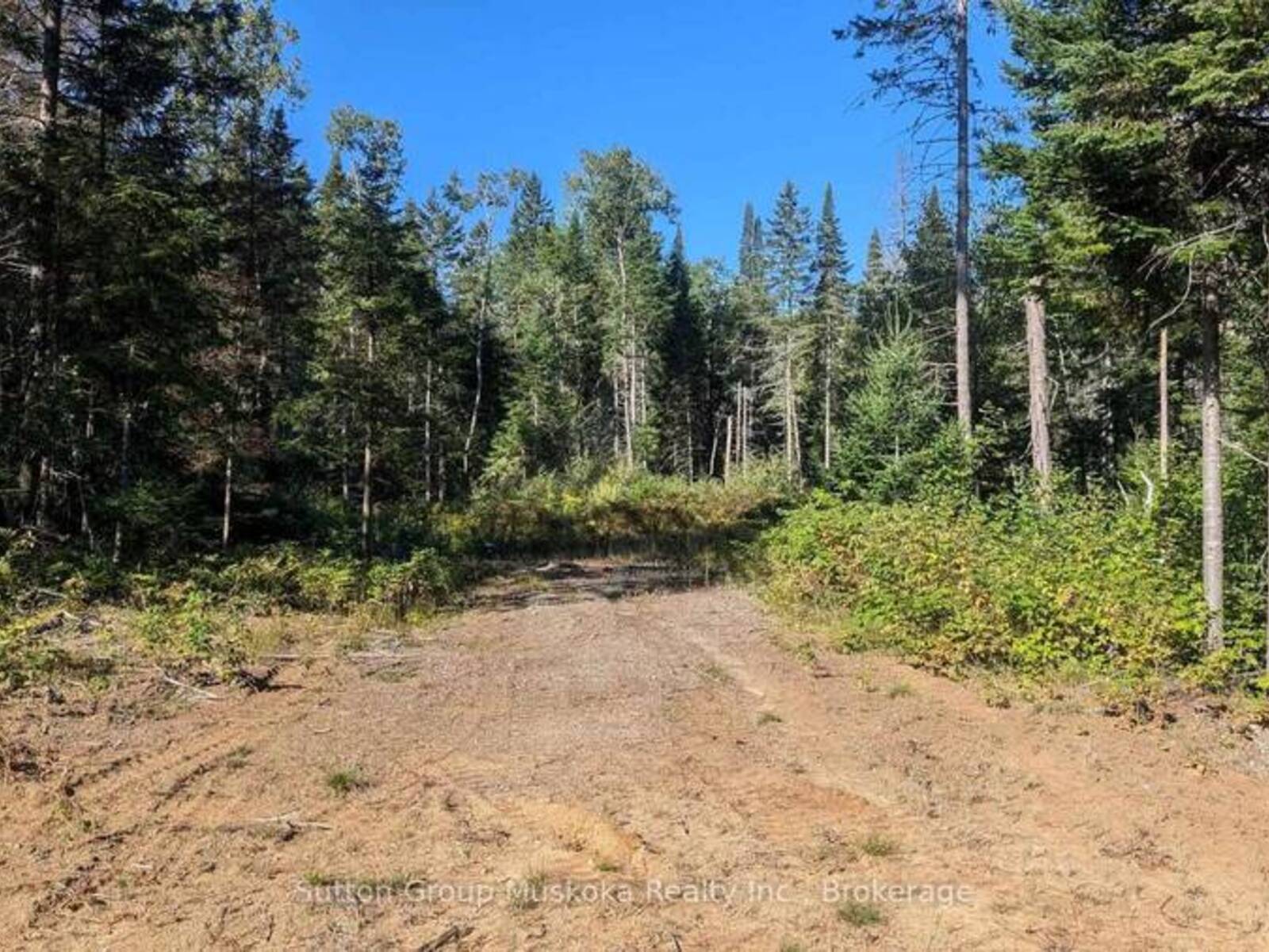 LOT 17 CRIMSON LANE, Huntsville, Ontario P0B 1L0