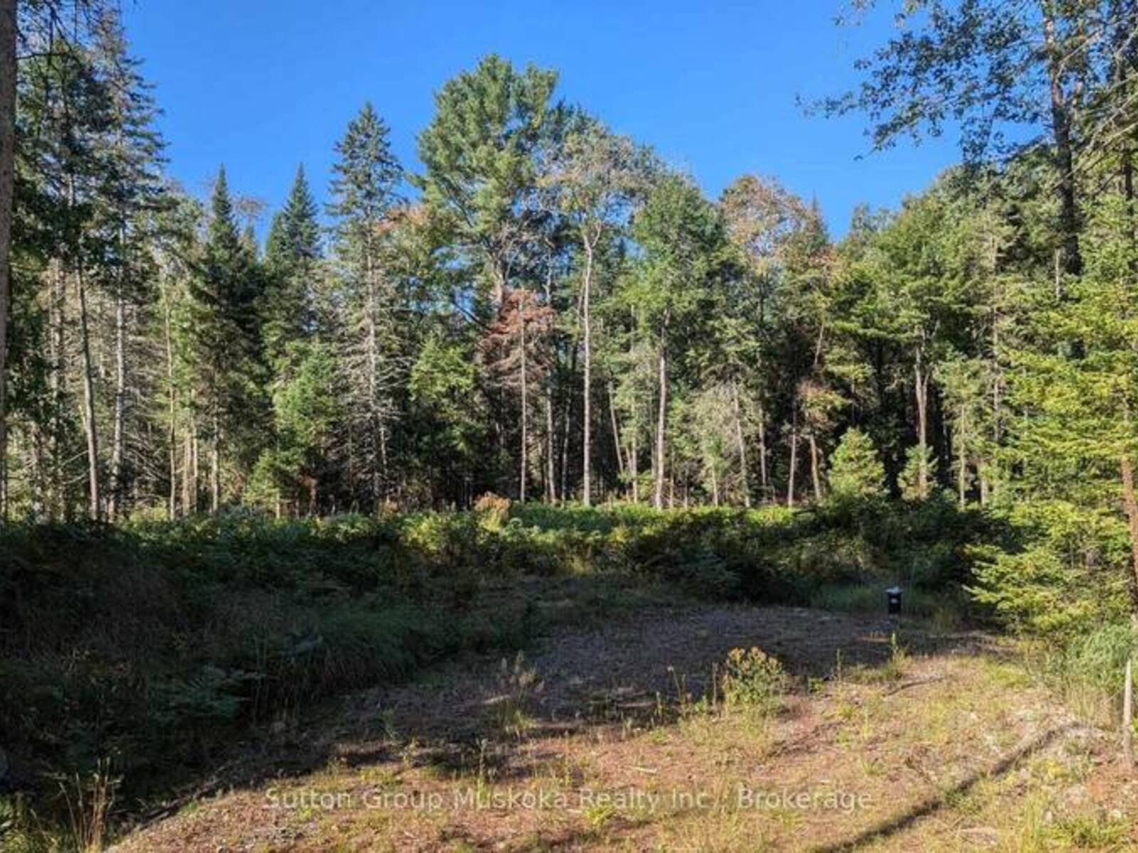 LOT 18 CRIMSON LANE, Huntsville, Ontario P0B 1L0