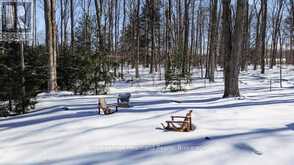 77376 FOREST RIDGE ROAD | Bayfield Ontario | Slide Image Forty