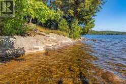 1089 LUTES LANE | Lake of Bays Ontario | Slide Image Eighteen