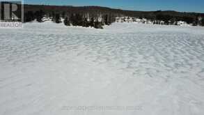 0 KASHAGAWIGAMOG LAKE ROAD | Haliburton Ontario | Slide Image Two