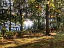 1052 NUTCRACKER TRAIL | Haliburton Ontario | Slide Image Thirty-seven