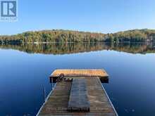 1052 NUTCRACKER TRAIL | Haliburton Ontario | Slide Image Forty