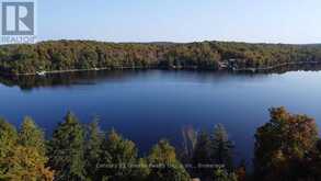 1052 NUTCRACKER TRAIL | Haliburton Ontario | Slide Image Five