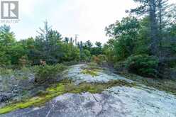 1276 ISLAND 980 | Honey Harbour Ontario | Slide Image Twenty-four