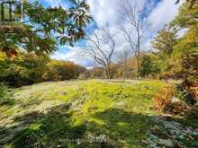 1017 BARLOCHAN ROAD | Gravenhurst Ontario | Slide Image Forty-seven