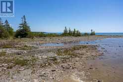 93 BORDEN DRIVE | Tobermory Ontario | Slide Image Forty