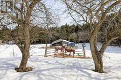 2553 COUNTY 42 ROAD | Stayner Ontario | Slide Image Eight