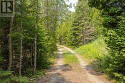 584 WARNER BAY ROAD | Tobermory Ontario | Slide Image Four