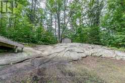 4 SEVERN RIVER SHORE | Coldwater Ontario | Slide Image Thirty-six