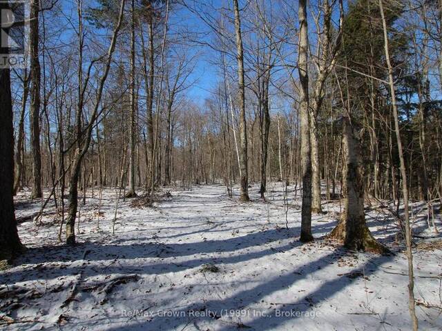 0A HWY 522 HIGHWAY Parry Sound Ontario, P0H 2R0 - Vacant Land For Sale