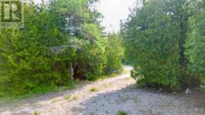 94 PEDWELL PT. DRIVE | Tobermory Ontario | Slide Image Three