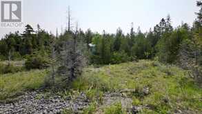 94 PEDWELL PT. DRIVE | Tobermory Ontario | Slide Image Nineteen