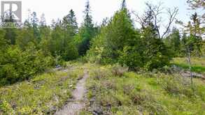 94 PEDWELL PT. DRIVE | Tobermory Ontario | Slide Image Twenty