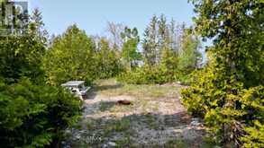94 PEDWELL PT. DRIVE | Tobermory Ontario | Slide Image Twenty-two