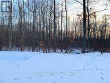 LOT 59 WHISPERING PINE CIRCLE | Tiny Ontario | Slide Image Ten
