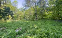 E 1/2 LT 29-30 CON 4; SIDEROAD 30 | Meaford Ontario | Slide Image Thirty-five