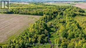 E 1/2 LT 29-30 CON 4; SIDEROAD 30 | Meaford Ontario | Slide Image Nine