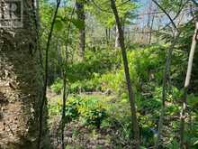 48 GORDON CRESCENT | Meaford Ontario | Slide Image Nine