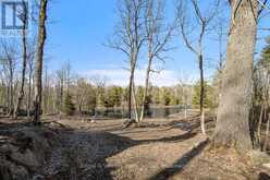 699 BUNNY TRAIL | Seguin Ontario | Slide Image Two
