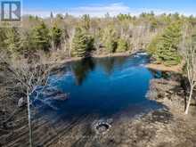 699 BUNNY TRAIL | Seguin Ontario | Slide Image Three