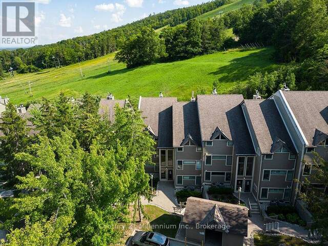 121 - 796404 GREY ROAD 19 The Blue Mountains Ontario, L9Y 0N8 - 2 Bedrooms Condo For Sale