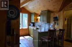 10365 RABBIT | Temagami Ontario | Slide Image Thirteen