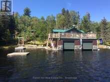 10365 RABBIT | Temagami Ontario | Slide Image Ten