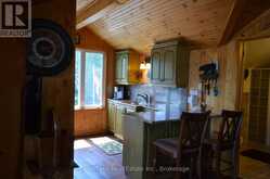 10365 RABBIT | Temagami Ontario | Slide Image Sixteen