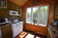 10365 RABBIT | Temagami Ontario | Slide Image Nineteen