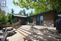 10365 RABBIT | Temagami Ontario | Slide Image Twenty-one