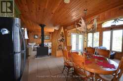 10365 RABBIT | Temagami Ontario | Slide Image Twenty-three