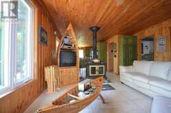 10365 RABBIT | Temagami Ontario | Slide Image Twenty-four