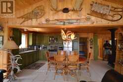 10365 RABBIT | Temagami Ontario | Slide Image Thirty-three